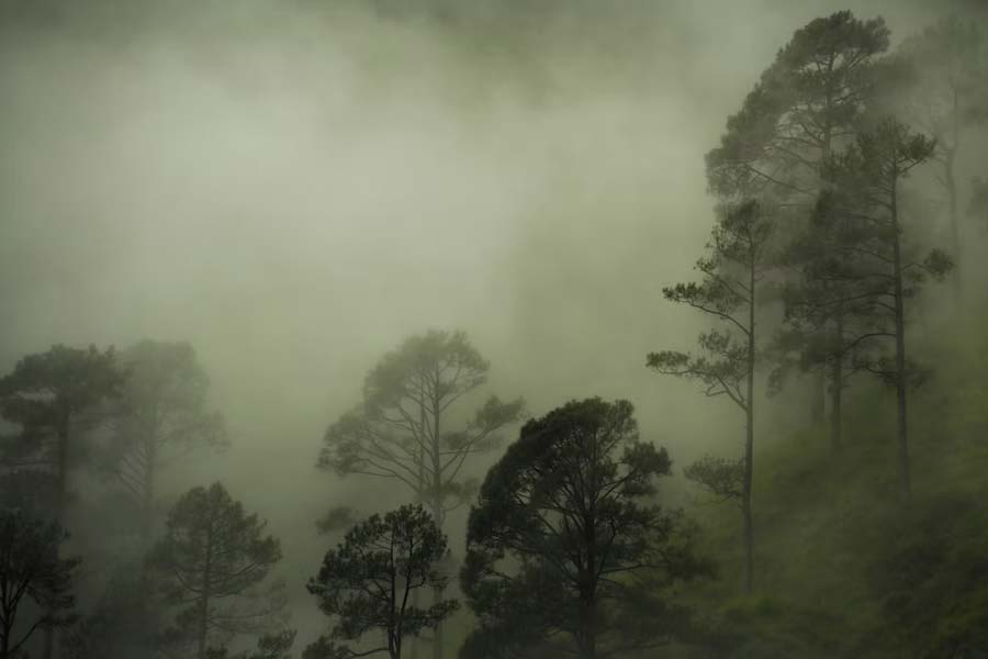 মন্দিরগুলির অধিকাংশই আকারে ছোট। উচ্চতা মেরেকেটে এক-দু’ফুট! পুরাতত্ত্ববিদদের অনুমান, মন্দির তৈরির আগে থেকেই সেখানে জনবসতি ছিল।