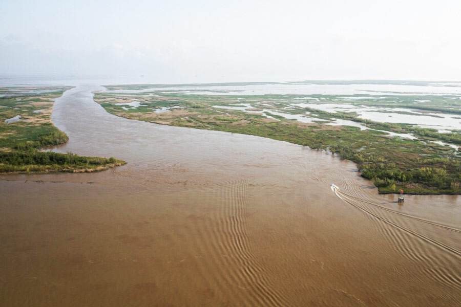 ১৮১৭ সালের ১২ অগস্ট সেন্ট লুই শহরের দুই অ্যাটর্নি টমাস হার্ট বেনটন এবং চার্লস লুকাসের মধ্যে দ্বৈত লড়াই হয়েছিল এই দ্বীপে। জমি সংক্রান্ত বিবাদকে ঘিরে টমাসকে ডুয়েলের আহ্বান দেন চার্লস। ভোরের আলো ফুটতে না ফুটতেই দু’জনের লড়াই শুরু হয়।