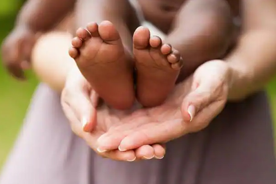 ওই আইনজীবী জানান, মুম্বইয়ের এক সমাজকর্মী বিদ্যার মায়ের বিষয়ে বহু তথ্য দিয়েছেন। এমনকি এক জনের খোঁজও পাওয়া গিয়েছে, যাঁর সঙ্গে যোগাযোগ করলে বিদ্যার মায়ের ব্যাপারে কোনও খবর পাওয়া যেতে পারে বলে জানা গিয়েছে।