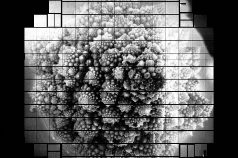 ২৪ কিলোমিটার দূর থেকে এলএসএসটি ক্যামেরা দিয়ে একটি তিলের বীজের স্পষ্ট ছবি তোলা যায় বলে দাবি করেছেন ক্যামেরার আবিষ্কারকেরা।