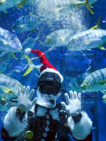 santa celebrates christmas with fishes in a special way dgtl