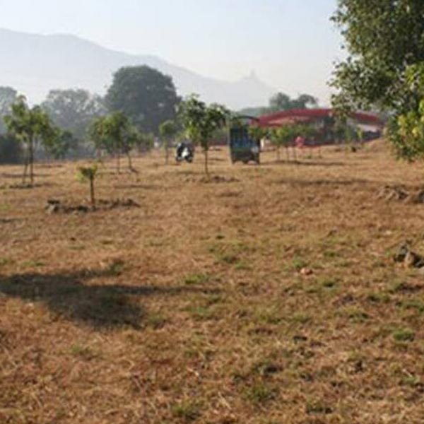 image of Pradeep Kasni 