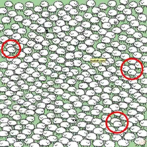 ছবিতে লুকিয়ে থাকা তিনটি মেঘ।