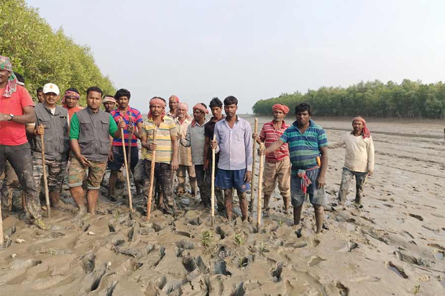 Villagers relieved after Tiger returned to forest at patharpratima