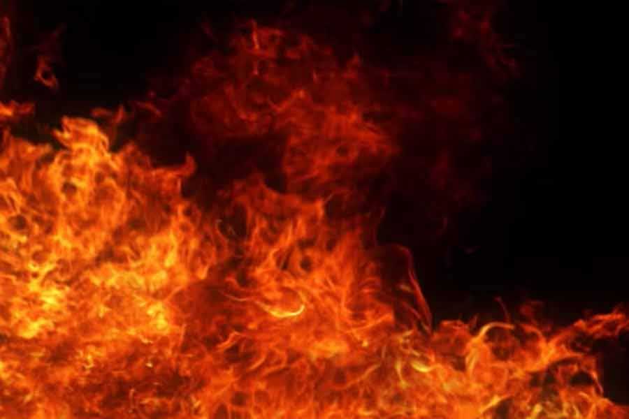 Fire incident took place in a jute mill in kadapara area of Salt Lake on Tuesday