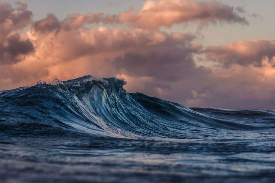 ১৯৯৭ সালে আমেরিকার একটি সংস্থা ‘ন্যাশনাল ওশিয়ানিক অ্যান্ড অ্যাটমোসফেরিক অ্যাডমিনিস্ট্রেশন’ (‘নোয়া’ নামে অধিক পরিচিত) প্রশান্ত মহাসাগরের দক্ষিণে স্তন্যপায়ী প্রাণীদের উপর গবেষণা করতে সন্ধানে নামে।