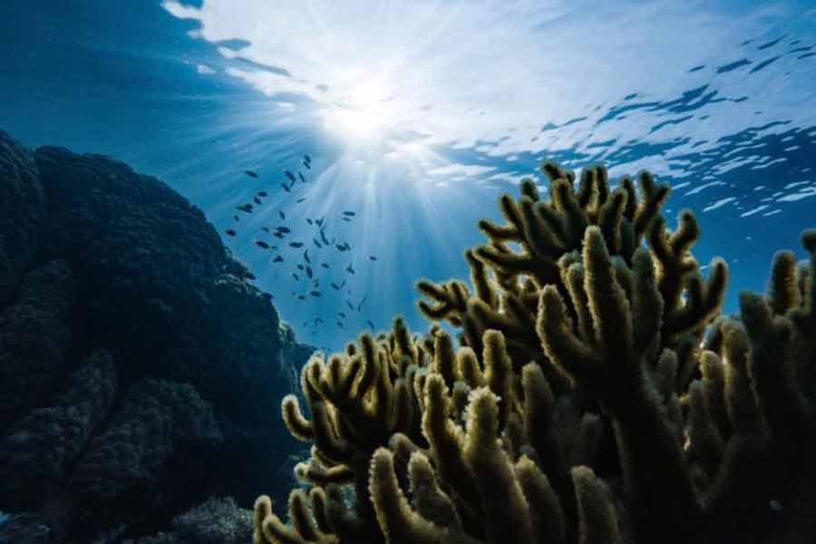 শুধুমাত্র হাইড্রোফোন নয়, নোয়া-র জাহাজে লাগানো সেন্সরগুলিতেও জোরালো শব্দ ধরা পড়ে। বিজ্ঞানীদের মতে, এই সেন্সরগুলি এমন ভাবে তৈরি করা হয় যে, প্রবল জোরের শব্দই একমাত্র সেগুলিতে ধরা পড়ে।