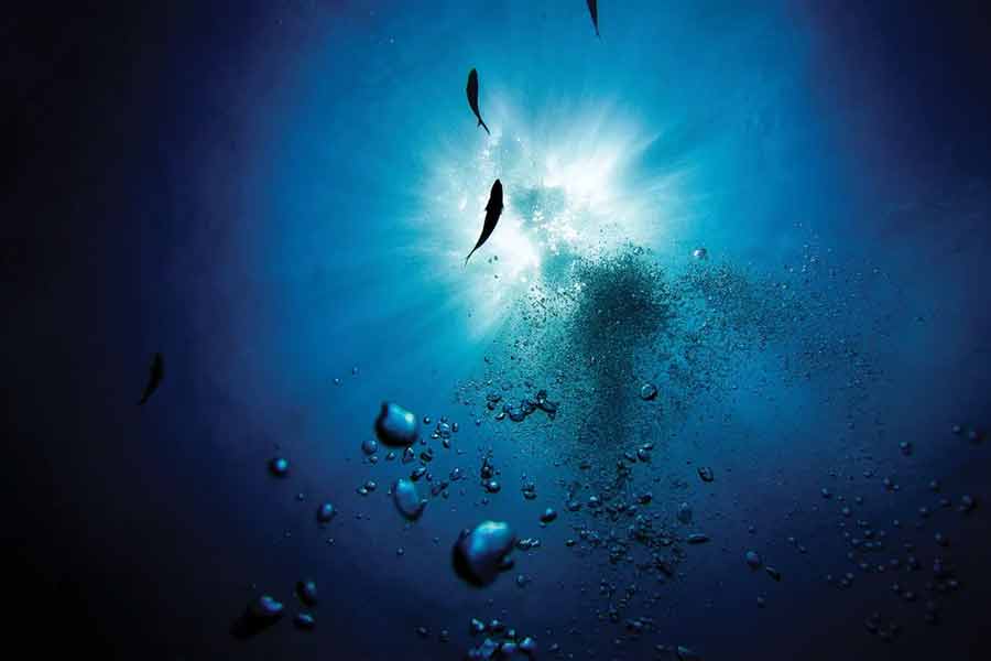 তবে বিজ্ঞানীদের অধিকাংশই এই শব্দের উৎস সম্পর্কে অন্য রকম তথ্য দিয়েছেন। তাঁদের দাবি, জোরালো শব্দটি আসলে হিমবাহের শব্দ। যে সময় হাইড্রোফোনে শব্দটি ধরা পড়েছিল সে সময় পাঁচ হাজার কিলোমিটারের মধ্যে কোনও হিমবাহ ভেঙে পড়ছিল। তাই এত জোরে শব্দ শোনা গিয়েছে।