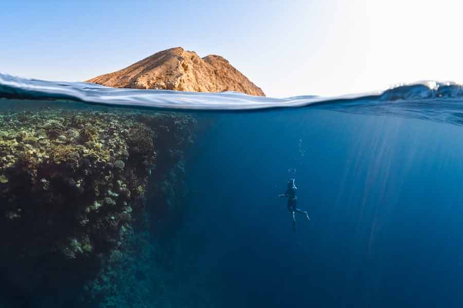 কথায় রয়েছে, নানা মুনির নানা মত। ব্লুপের ভয়াবহতা নিয়ে মন্তব্য করেন হররপ্রেমীরাও। তাঁদের দাবি, প্রশান্ত মহাসাগরের যে জায়গা থেকে ব্লুপের শব্দ শোনা গিয়েছে তার সঙ্গে যোগ রয়েছে আমেরিকান হরর সাহিত্যের প্রবাদপুরুষ এইচপি লাভক্র্যাফ্‌ট রচিত ‘দ্য কল অফ ক্‌থুলু’ গল্পের র’লিয়েহ শহরের।