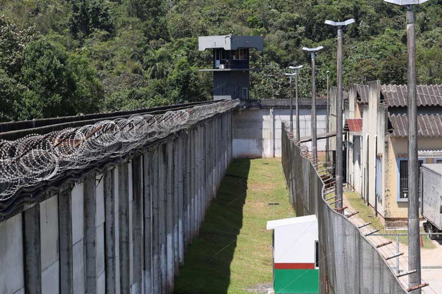 Group of geese protect Brazil prison replacing dogs