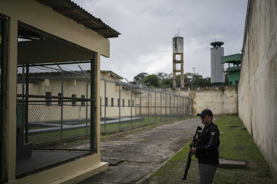 Group of geese protect Brazil prison replacing dogs