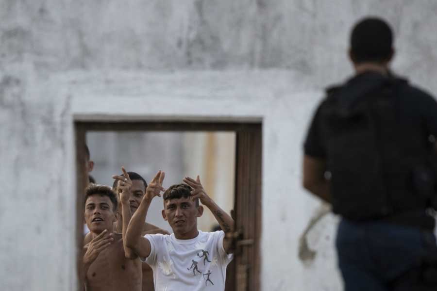 Group of geese protect Brazil prison replacing dogs