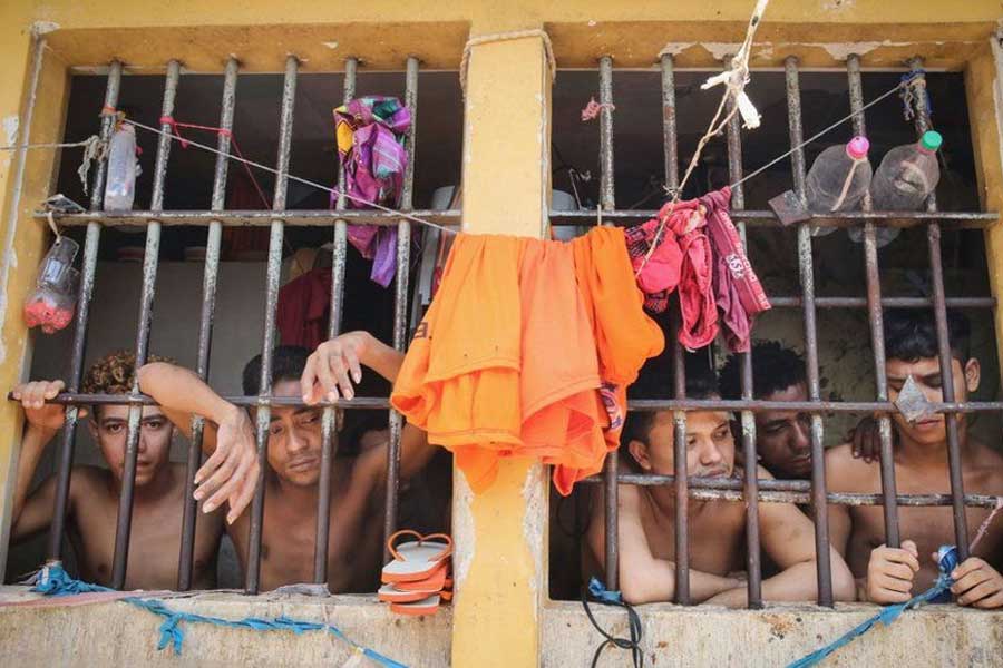 Group of geese protect Brazil prison replacing dogs