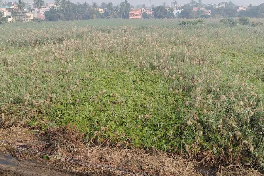 Complaints were raised in Burdwan about changing the character of the land and promoting it dgtld