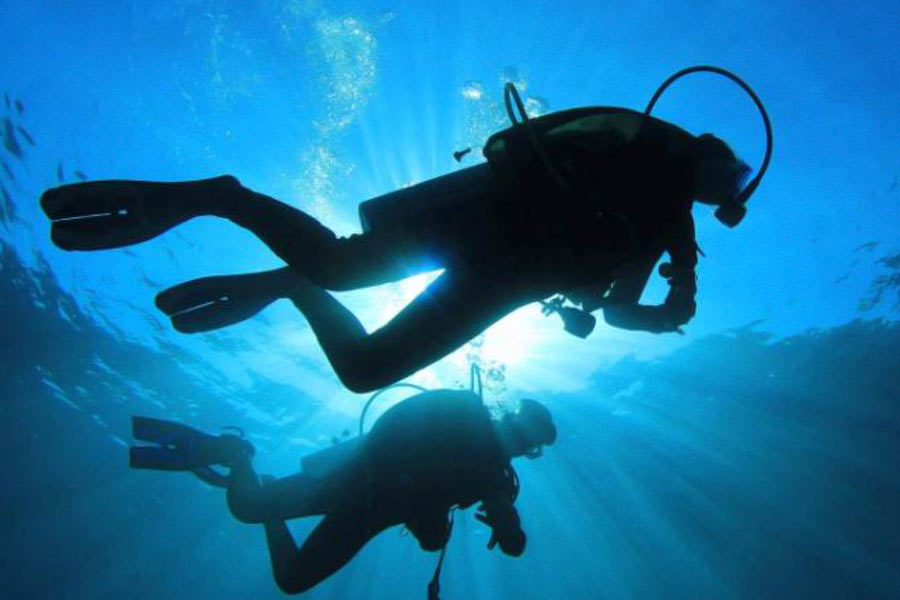 কমনওয়েলথ সায়েন্টিফিক অ্যান্ড ইন্ডাস্ট্রিয়াল রিসার্চ অর্গানাইজেশনের (সিএসআইআরও) তরফে সমুদ্রের তলায় একটি অনুসন্ধানকারী দল পাঠানোর ব্যবস্থা করা হয়। 