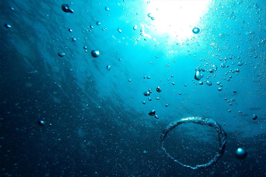 আন্টার্কটিকা এবং তাসমানিয়া এলাকার মধ্যবর্তী ২০ হাজার বর্গকিলোমিটার এলাকা জুড়ে ‘ভেসেল ইনভেস্টিগেটর’-এর মাধ্যমে সন্ধান চালানো হয়।