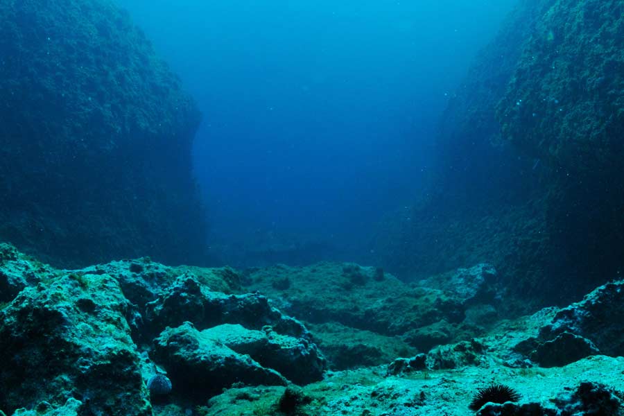 সিএসআইআরও-এর ভূতত্ত্ববিদ ক্রিস ইউলে চারটি আগ্নেয়গিরির সন্ধান পেয়ে আনন্দ প্রকাশ করেছেন। চ্যুতিরেখা বরাবর চারটি আগ্নেয়গিরির গুরুত্ব এবং সেগুলির পুঙ্খানুপুঙ্খ বর্ণনাও ভাগ করে নেন তিনি।