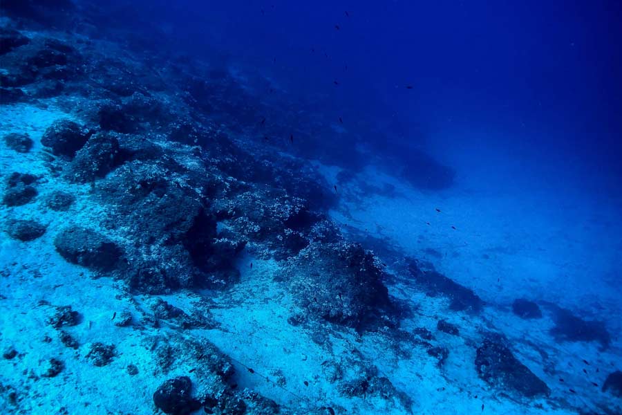 ম্যাককুয়েরি দ্বীপ থেকে ৩৭০ কিলোমিটার পশ্চিমে ম্যাককুয়েরি রিজের কাছে আগ্নেয়গিরিগুলির খোঁজ পাওয়া গিয়েছে বলে জানান ক্রিস। গত দু’কোটি বছর ধরে ম্যাগমা সঞ্চয় হয়েছে এই অঞ্চলে।