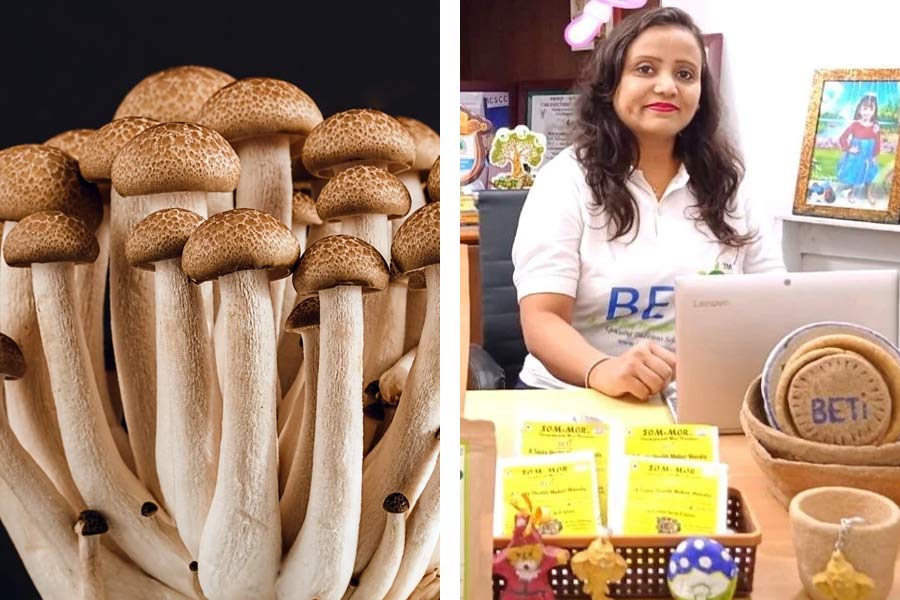 Indore Woman earns Rupees 20 Lakh per month by Cultivating Mushroom from Stubble.