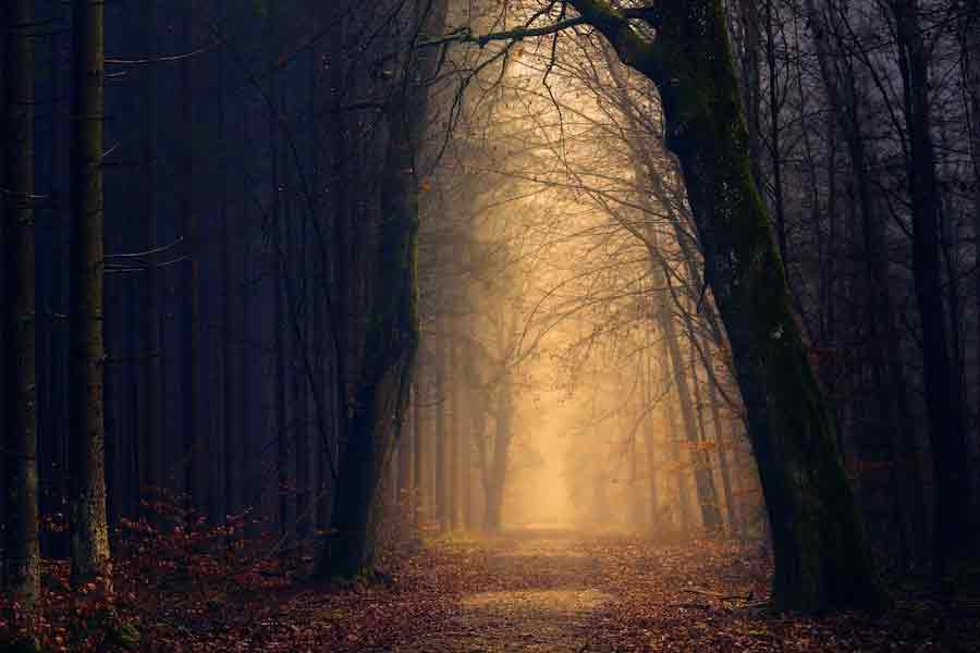 ২০০৮ সালে ওই বাড়িতে এক ব্যক্তির হার্ট অ্যাটাক হয়েছিল। তার পর শোরগোল পড়ে গিয়েছিল। এর পর থেকে যথেষ্ট পরীক্ষা-নিরীক্ষা করে তবেই ম্যাককামের বাড়িতে প্রবেশের অনুমতি পেতেন ইচ্ছুকেরা। চিকিৎসকদের দেওয়া ফিট সার্টিফিকেট দেখাতে হত তাঁদের।