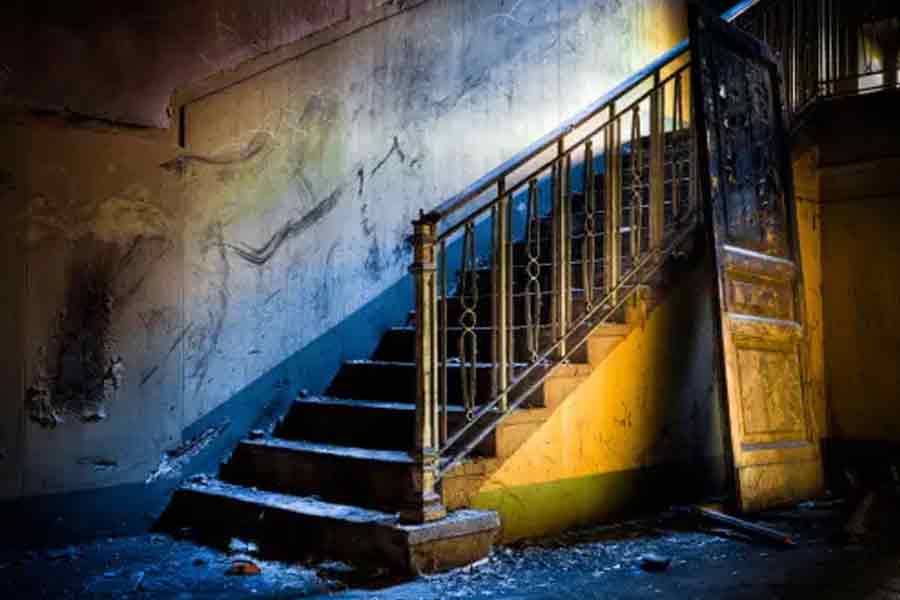 যাঁরা ভয় পেতে চাইতেন, তাঁদের নির্দিষ্ট কোনও জায়গা থেকে চোখ বেঁধে তুলে আনা হত ম্যাককামের বাড়িতে। তার পর শুরু হত ভয় দেখানোর পালা। গলায় জড়িয়ে দেওয়া হত সাপ। যা আদতে ছিল নকল। কিন্তু ভয় পেতে যাঁরা আসতেন, তাঁরা বুঝতেন না।