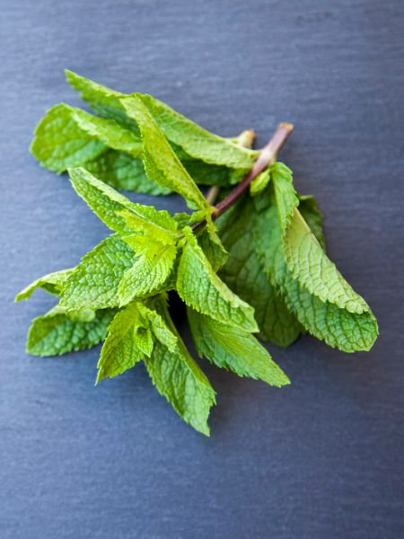Include mint in your diet in winter, you will get these amazing benefits dgtl