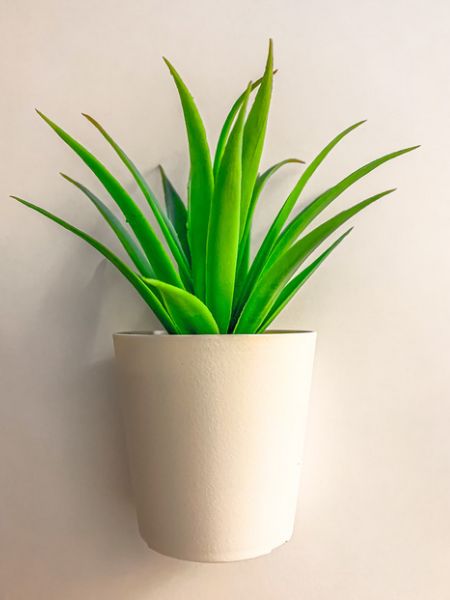 Natural ways to remove acne with these 7 home ingredients dgtl