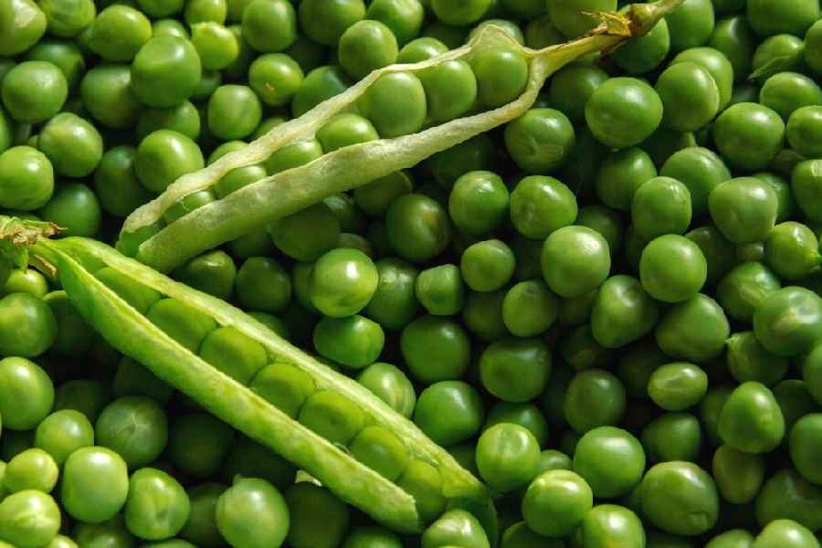 How to store green peas fresh in the fridge for longer.
