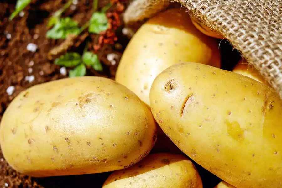 How You Can Eat Potatoes Without Spiking Sugar Levels.