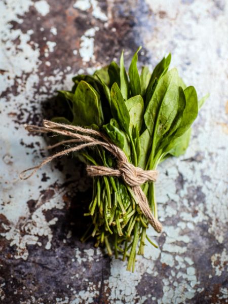 These six vegetables are rich in magnesium and super healthy for winter dgtl