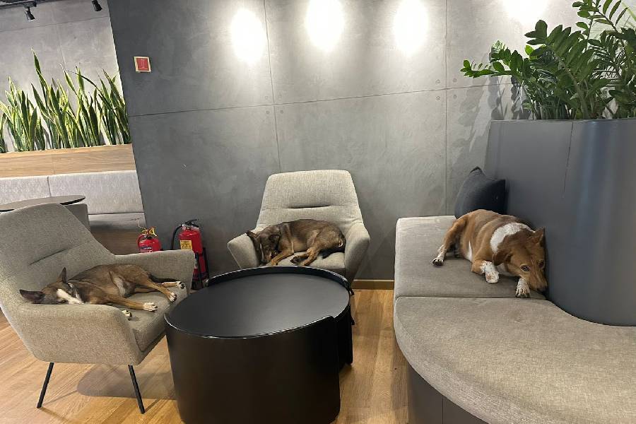 OLA CEO shares picture of his office in the morning.