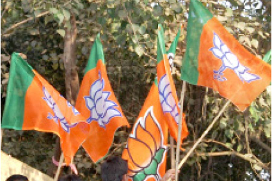A Photograph of  BJP flag