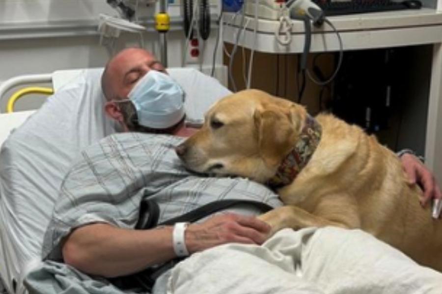 Image of a man and his pet dog at hospital bed