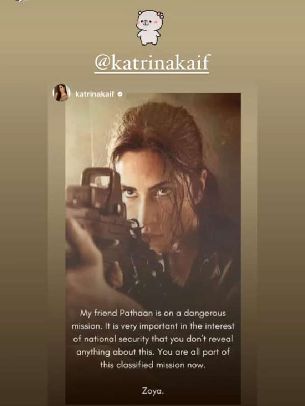 snapshot from Deepika Padukone's instagram story.