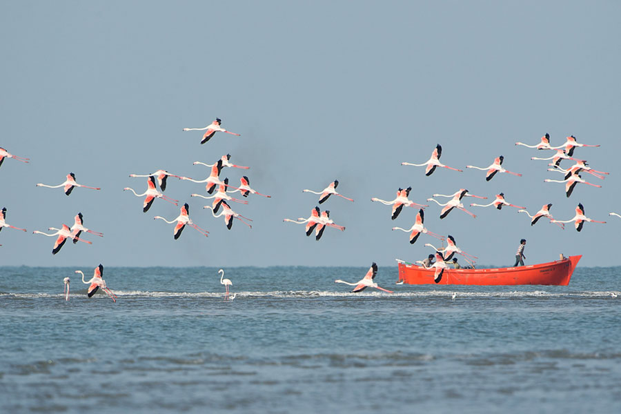 এই অংশ নিয়ে বিতর্ক স্বাধীনতার বহু আগে থেকেই চলছে। ১৯০৮ সালে সিন্ধু প্রদেশের রাজা এবং কচ্ছের রাও মহারাজের মধ্যে প্রথম বার এই সীমান্ত নিয়ে কথোপকথন হয়। স্বাধীনতার পূর্বে এই পুরো এলাকা ব্রিটিশ রাজের বম্বে প্রেসিডেন্সির মধ্যে পড়ত। তখন বম্বে সরকার একটি সমীক্ষা করে তখনকার মতো এই বিতর্কে জল ঢেলে দেয়।পরবর্তী ৪০-৫০ বছর বিতর্কটি চাপা পড়েই ছিল।