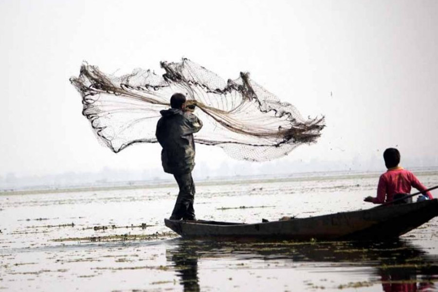 স্যর ক্রিক কেন এত গুরুত্বপূর্ণ? কৌশলগত এবং সামরিক দিক থেকে এর এত গুরুত্ব না থাকলেও এই জলপ্রবাহ প্রচুর মাছের সম্ভার রয়েছে। এই অঞ্চলকে এশিয়ার অন্যতম বৃহৎ মৎস্যভান্ডার বলে মনে করা হয়। দুই দেশের মৎস্যজীবীরা এখানে মাছ ধরতে এসে প্রায়শই সীমা লঙ্ঘন করে ফেলেন। এর ফলে দুই দেশেই অনেকে জেলবন্দি হয়ে যান। এই নিয়ে দ্বন্দ্ব রয়েছেই।