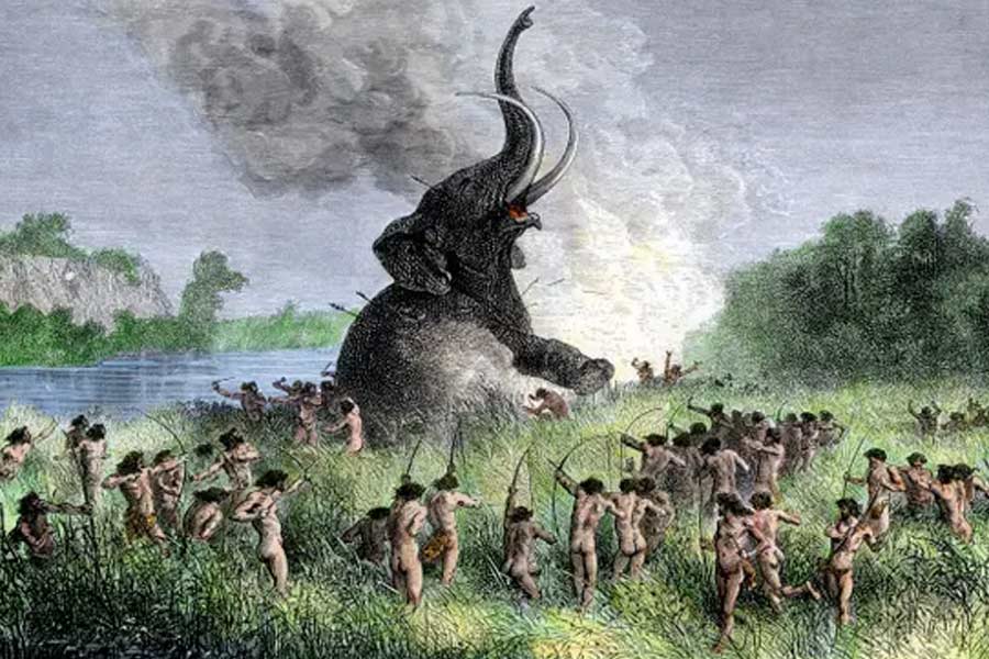 Representational picture of Stone Age
