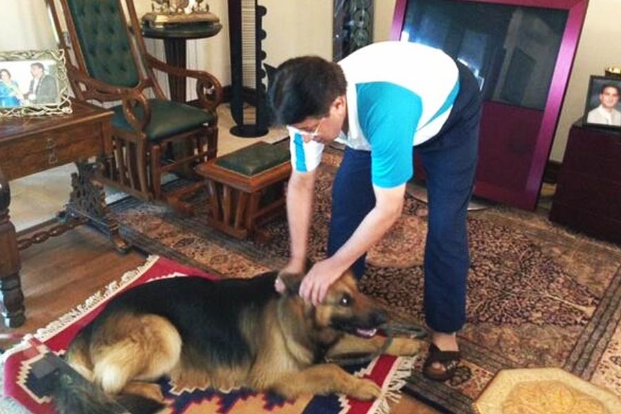 কুকুরদের প্রতি তাঁর বিশেষ আগ্রহ ছিল। প্রিয় পানীয়ের নামে প্রিয় পোষ্যটিরও নাম রেখেছিলেন ‘হুইস্কি’। হুইস্কিকে নিয়ে মুশারফ বিদেশ সফরেও যেতেন।