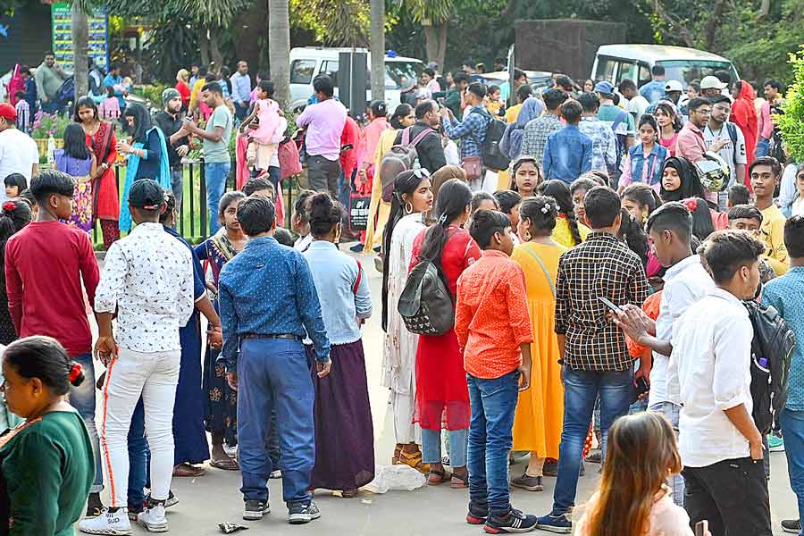 A Photograph of people roaming around in Alipore Zoo