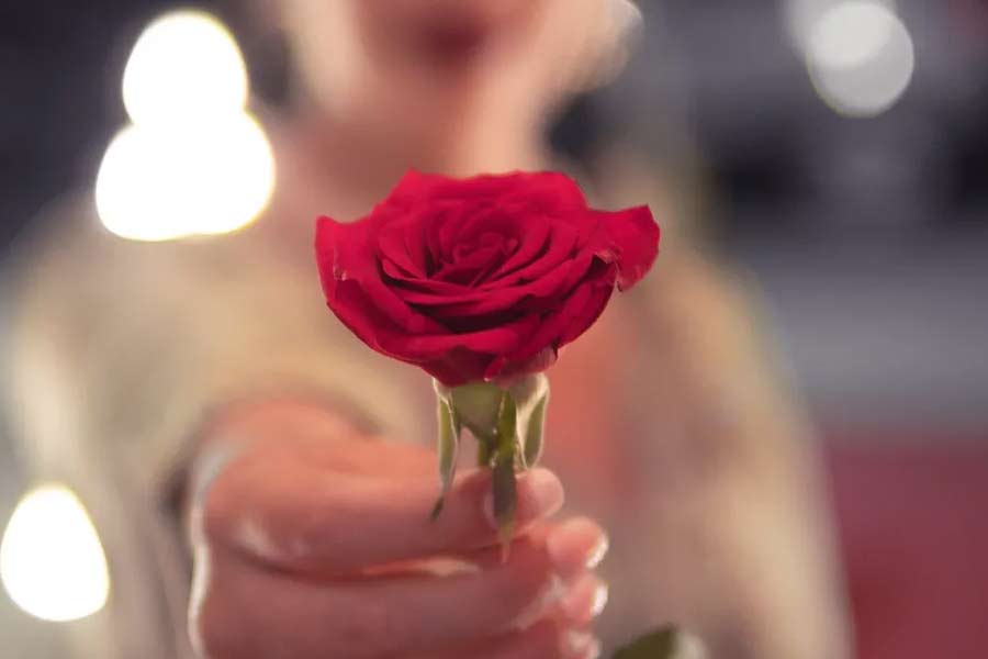 The price of roses is high on rose day 