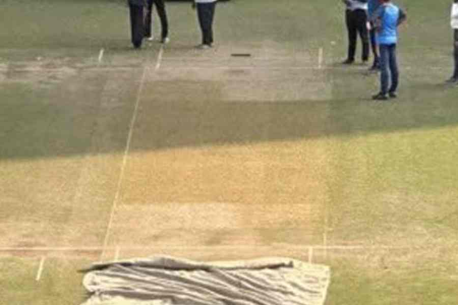 Picture of Nagpur pitch