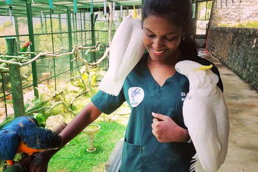 দ্বাদশ শ্রেণি পাশের পর ভেটেরিনারি নিয়ে ব্যাচেলর ডিগ্রি পড়ার জন্য ন্যাশনাল এলিজিবিলিটি কাম এনট্রান্স টেস্ট (নিট)-এ উত্তীর্ণ হতে হয়।