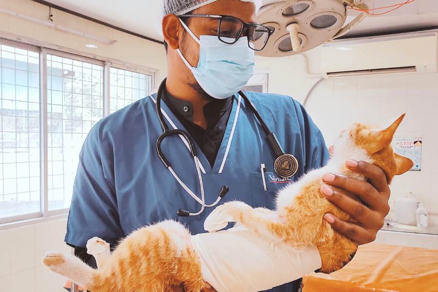 কোর্স সম্পূর্ণ হওয়ার পর শিক্ষার্থীরা ভেটেরিনারি কাউন্সিল অফ ইন্ডিয়া প্রদত্ত রেজিস্ট্রেশন নম্বর পেয়ে থাকেন পশুপাখির চিকিৎসা করার। 