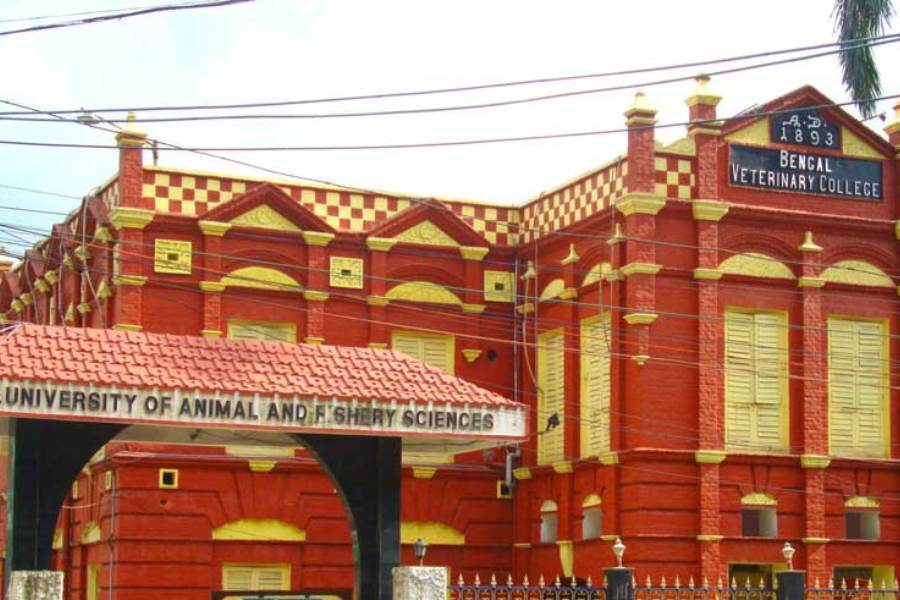 কলকাতার বেলগাছিয়ায়, ওয়েস্ট বেঙ্গল ইউনিভার্সিটি অফ অ্যানিম্যাল অ্যান্ড ফিশারি সায়েন্সেস প্রতিষ্ঠানে পড়ানো হয় এই বিষয়ে। এই প্রতিষ্ঠানের কল্যাণীতে মূলত স্নাতক স্তর পড়ানো হয়, এবং স্নাতকোত্তর ও পিএইচডি-র জন্য যেতে হয় বেলগাছিয়ার শাখায়।