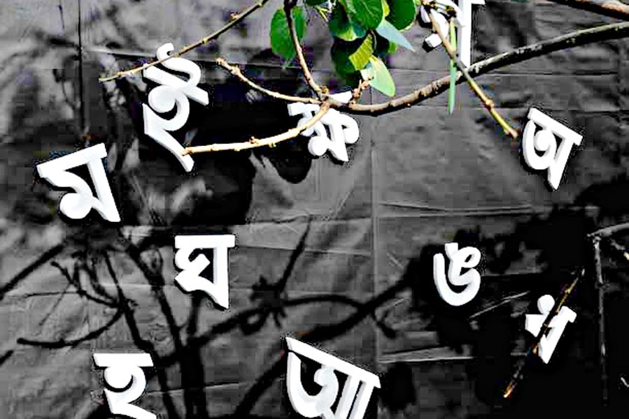 Representational image of Bengali Language.