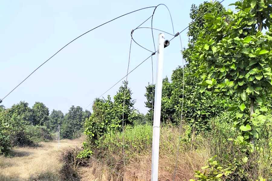 হাতি রুখতে টাঙানো বৈদ্যুতিক তারের বেড়া বড়জোড়ায়। নিজস্ব চিত্র