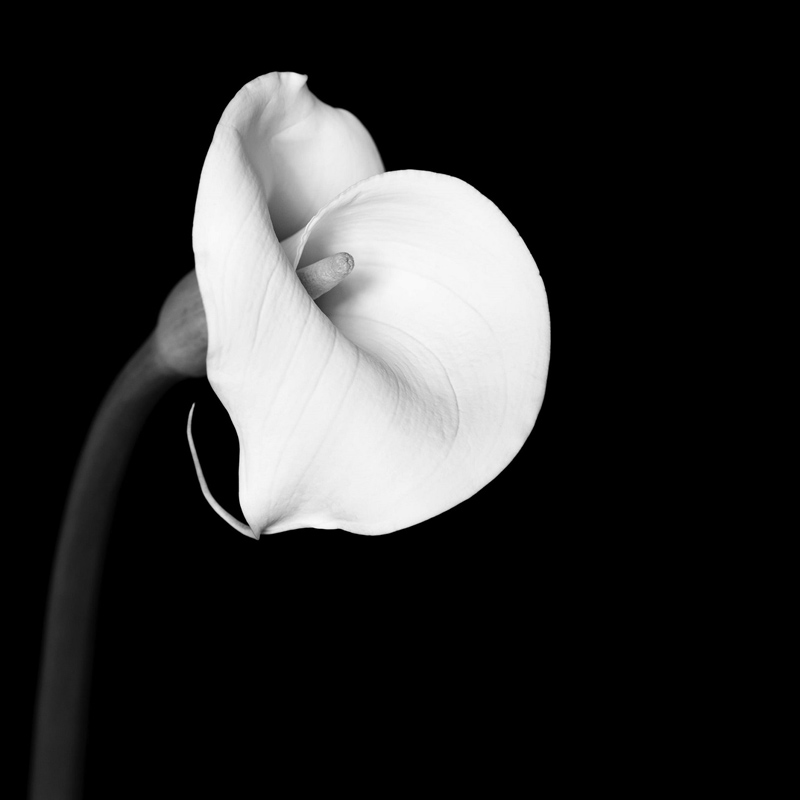 Child marriage is still a problem in Rajasthan Society.