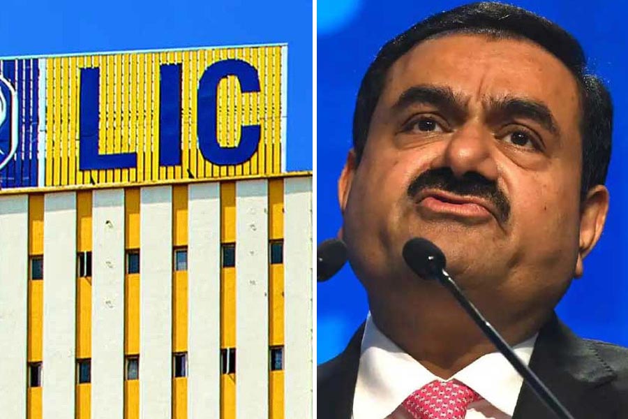 LIC says will seek explanation from Adani on stock crisis 