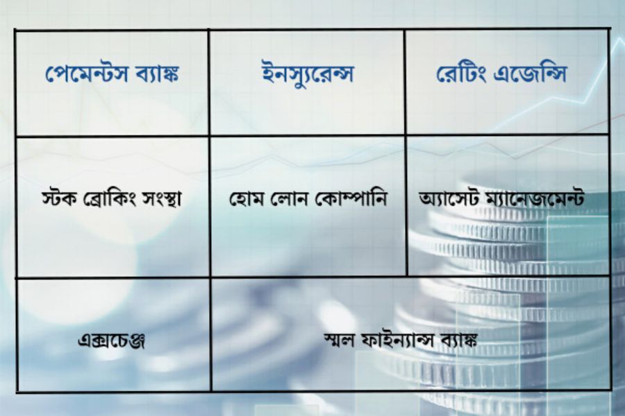 বিএফএসআই যদি এক কথায় বোঝাতে হয়, তা হলে এই ব্যবসাগুলির কথা না বললেই নয়