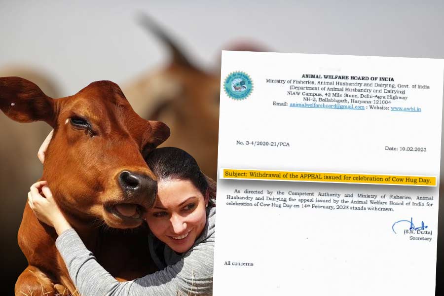 image of withdrawal of Cow Hug Day appeal by Animal Welfare Board of India